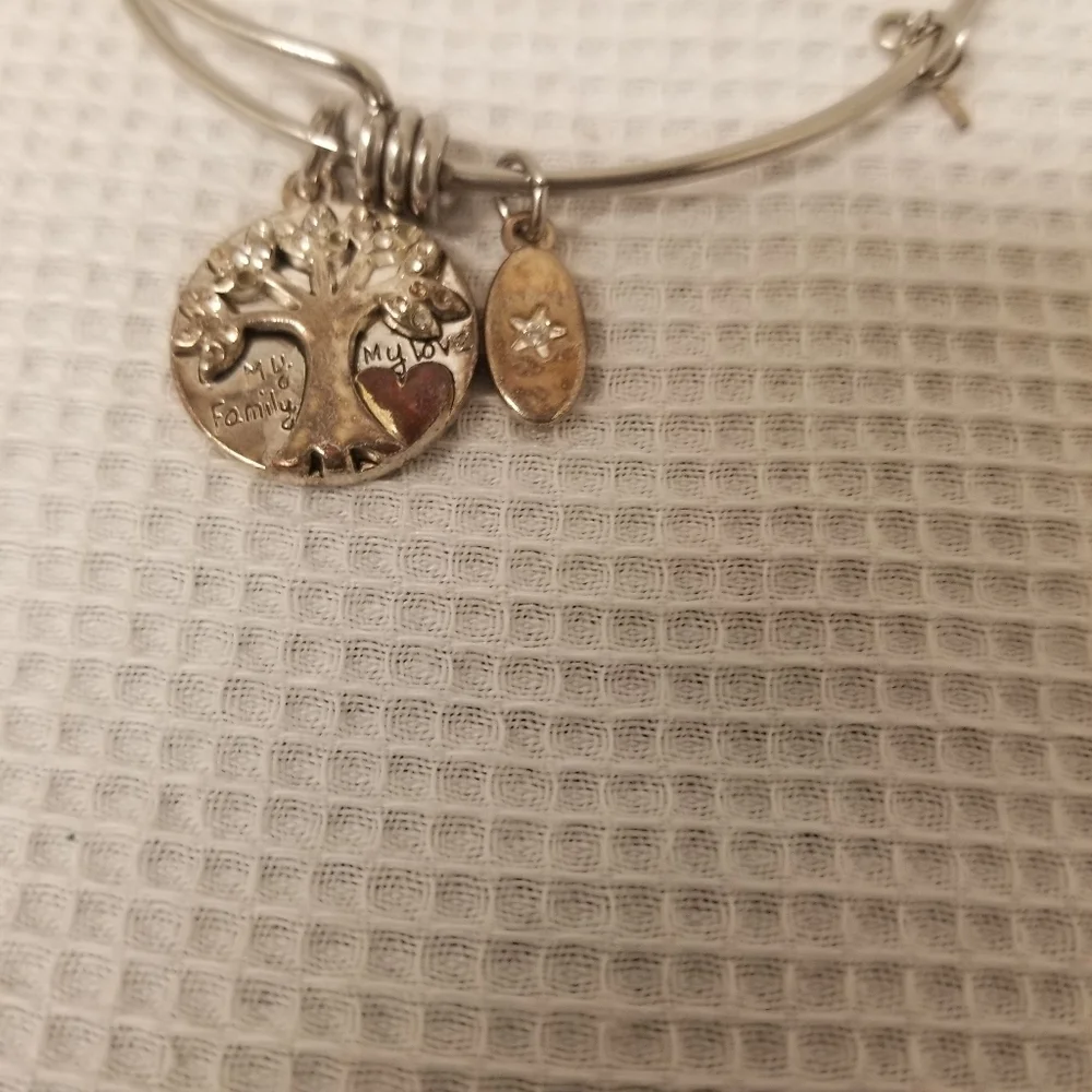 Alex and Ani Tree of Life (Joshua Tree) Bracelet - Picture 4 of 4